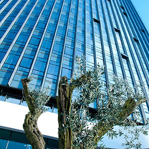 Olive Plaza Maslak