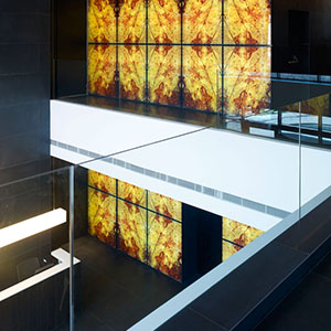 Olive Plaza Maslak